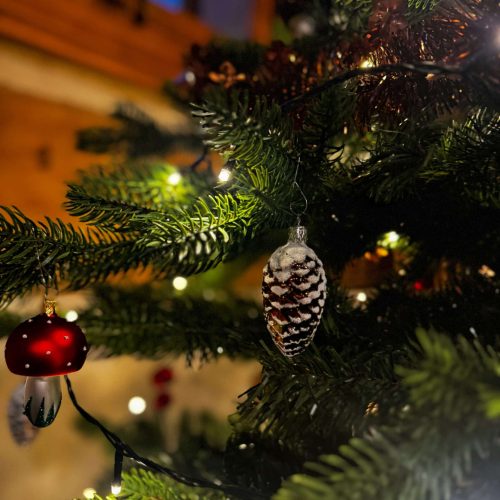 Vánoce v Pohádkové roubence