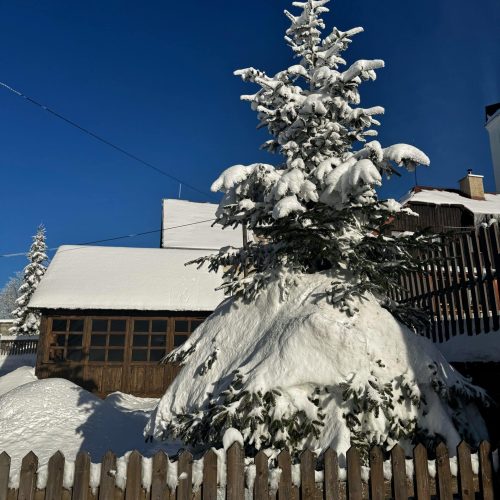 Zima v Pohádkové roubence