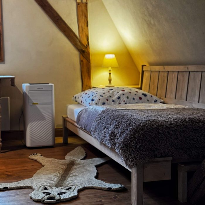 Pokoj se dvěma oddělenými lůžky v Pohádkové roubence